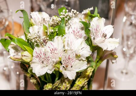 Decorazioni in gigli bianchi con macchie. Lilium 'Stargazer. Foto Stock