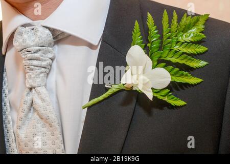 Piccolo ornamento floreale sul lapello di un vestito da uomo. Fiore. Boutonniere. Foto Stock