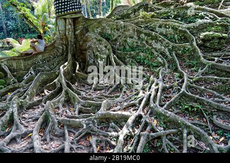 Gianyar, Bali Island, Indonesia. 24th maggio 2019. La famosa attrazione turistica, Goa Gajah è un sito archeologico indù significativo. Foto Stock