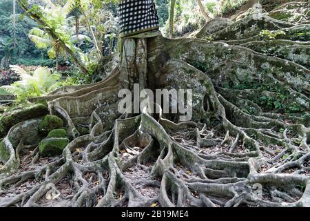 Gianyar, Bali Island, Indonesia. 24th maggio 2019. La famosa attrazione turistica, Goa Gajah è un sito archeologico indù significativo. Foto Stock