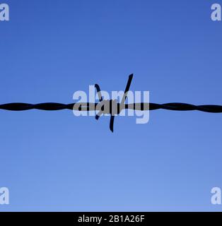 un singolo nodo di filo spinato con un cielo blu sullo sfondo Foto Stock