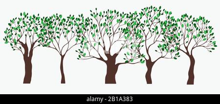 Set di alberi verdi di primavera. Illustrazione disegnata a mano vettoriale. Foglie verdi su albero marrone Illustrazione Vettoriale