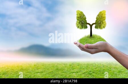 Illustrazione dell'albero polmonare (ambiente e medicina) Foto Stock