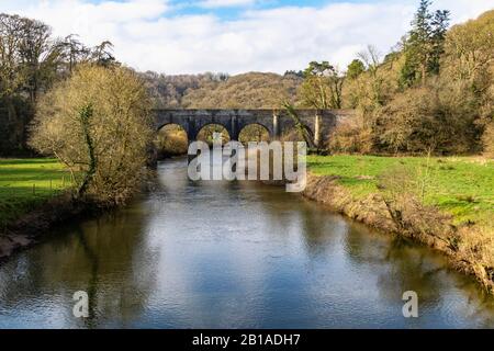 Fiume Torridge e Beam Bridge, vista dal Tarka Trail guardando il fiume verso Great Torrington in inverno Foto Stock