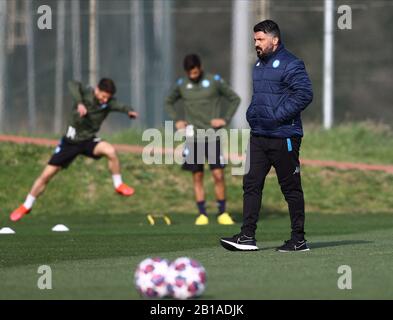 Napoli, Italia. 24th Febbraio 2020; Centro di formazione Castelvolturno, Napoli, Campania, Italia; UEFA Champions League Football, Napoli vs Barcellona, training Napoli; Gennaro Gattuso coach of Napoli Credit: Action Plus Sports Images/Alamy Live News Foto Stock