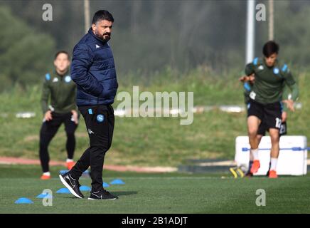 Napoli, Italia. 24th Febbraio 2020; Centro di formazione Castelvolturno, Napoli, Campania, Italia; UEFA Champions League Football, Napoli vs Barcellona, training Napoli; Gennaro Gattuso coach of Napoli Credit: Action Plus Sports Images/Alamy Live News Foto Stock