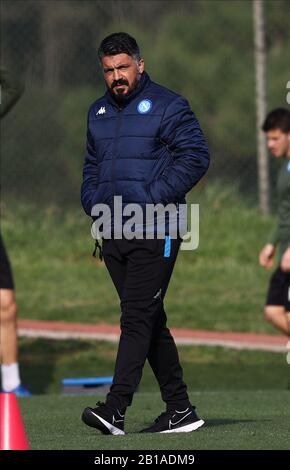 Napoli, Italia. 24th Febbraio 2020; Centro di formazione Castelvolturno, Napoli, Campania, Italia; UEFA Champions League Football, Napoli vs Barcellona, training Napoli; Gennaro Gattuso coach of Napoli Credit: Action Plus Sports Images/Alamy Live News Foto Stock