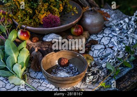 Un angolo di vita ancora alto vicino in su sparato di frutta, vegetazione, fiori e fogliame foraged raccolto come offerte agli dèi ed al mondo di spirito al festival di terra Foto Stock