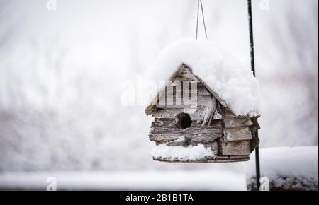 Casa per uccelli sospesa in legno intemperato coperto di neve fresca. Foto Stock