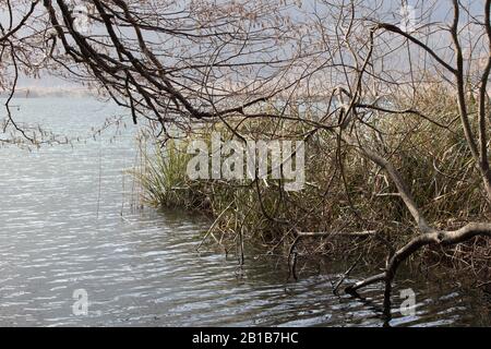 Una bella foto del Lago Ghirla, Lago di Ghirla, Varese, Italia Foto Stock