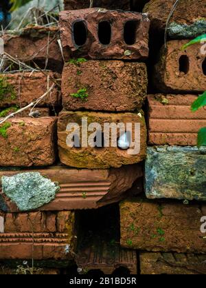 alcuni vecchi mattoni impilati nel giardino Foto Stock