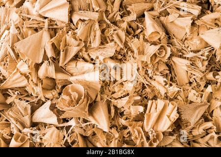 Bella spirale arricciata segatura di legno in dettaglio texture. Primo piano astratto di trucioli di legno sparsi sul palo come sfondo decorativo. Scarti di lavorazione del legno. Foto Stock
