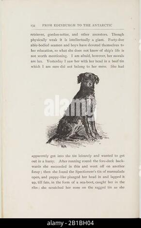 Da Edimburgo a l'Antartide. L'artista note e schizzi durante il Dundee spedizione in Antartide di 1892-93 (pagina 134) Foto Stock