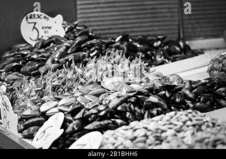 pesce fresco misto all'interno del mercato del pesce - polpi, conchiglie, ostriche, gamberi, calamari, pesce Foto Stock