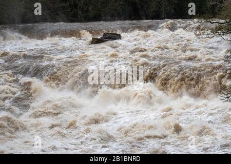 Aysgart Falls in piena piena alluvione. Yorkshire Dales National Park, Regno Unito. Foto Stock