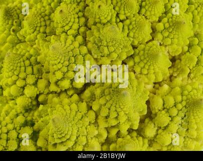 Cavolo romanesco fondo a cornice. Foto Stock