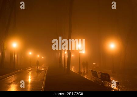 La gente cammina vicino al vicolo del parco di nebbia in thе sera. Kiev, Ucraina Foto Stock