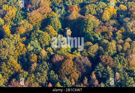 Foto aerea, torre Bismarck nella foresta autunnale, Josef-Kaiser-Allee, Viersen, basso Reno, Renania Settentrionale-Vestfalia, Germania, DE, Monumento, Europa, aereo Foto Stock