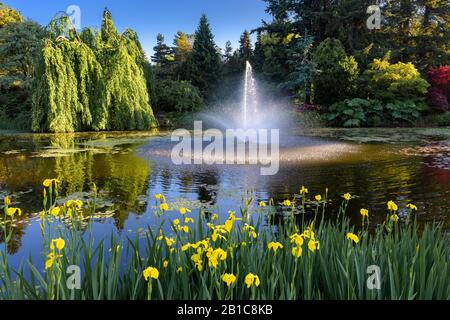 Laghetto con fontana, VanDusen Botanical Garden, Vancouver, British Columbia, Canada. Foto Stock