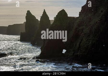 Gli stacks di Duncansby e l'arco di pietra di Thirle Door, Duncansby Head, vicino a John o'Groats, Caithness, Scozia, Regno Unito Foto Stock