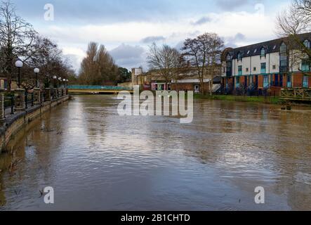 Alti livelli d'acqua nel fiume Avon al Bridge, Chippenham, Wiltshire, Regno Unito Foto Stock