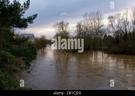 Alti livelli d'acqua nel fiume Avon da Gladstone Bridge, Chippenham, Wiltshire, Regno Unito Foto Stock