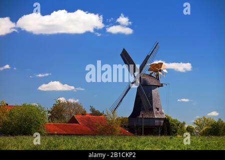 Mulino a vento Messlingen dal 1843, Germania, Renania Settentrionale-Vestfalia, Westfalia Est, Petershagen Foto Stock