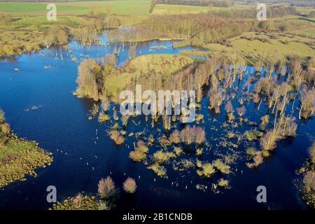 Moorland Hellmoor, vista aerea, Germania, Schleswig-Holstein, Panten Foto Stock