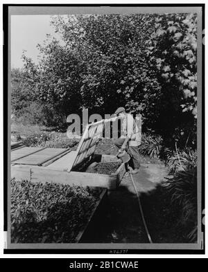 Innaffiamento giardiniere impianti a telaio freddo, posto per illustrare Rudyard Kipling poema La Gloria del Giardino Foto Stock