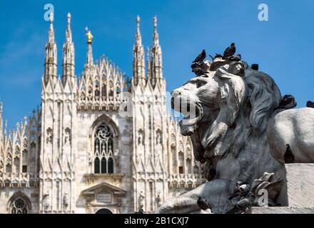 Scultura di un leone come parte del monumento a Vittorio Emanuele II in Piazza del Duomo di Milano. Il Duomo di Milano (Duomo di Milano) nella Foto Stock