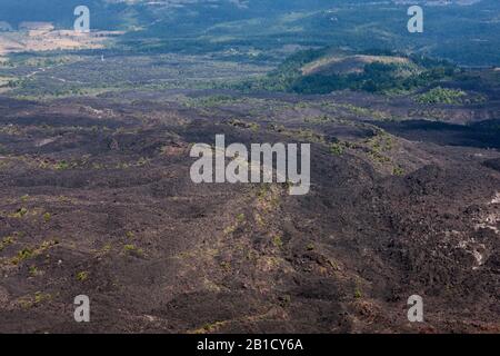 Campo di lava, vulcano Paricutin, stato di Michoacan, Messico, America Centrale Foto Stock