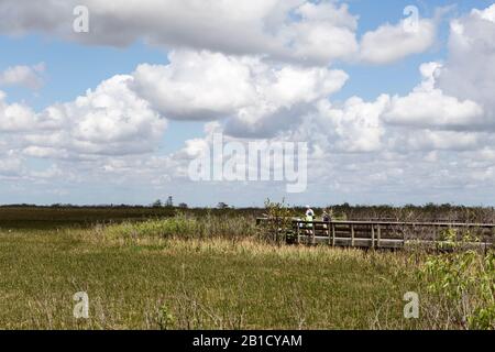 I visitatori si affacciano su un mare di erba nel Parco Nazionale delle Everglades vicino a Homestead, Florida, Stati Uniti Foto Stock