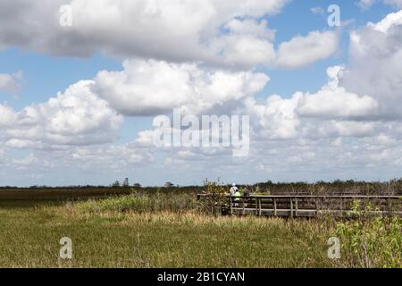 I turisti si affacciano sulle praterie dell'Everglades National Park vicino a Homestead, Florida, USA Foto Stock