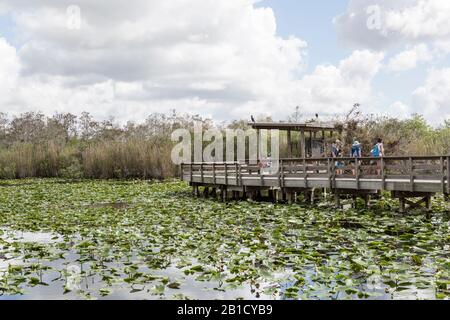 Turisti che camminano lungo una passerella sopra un laghetto di giglio nel Parco Nazionale delle Everglades vicino a Homestead, Florida, USA Foto Stock