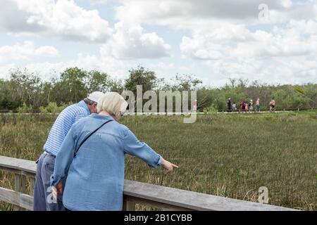 Un'anziana coppia caucasica guarda fuori sulle zone umide nel Parco Nazionale delle Everglades vicino a Homestead, Florida, Stati Uniti Foto Stock