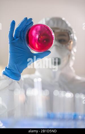 Sotto la vista del ricercatore in guanti che esaminano la sostanza infettiva nella piastra Petri mentre lavora in laboratorio Foto Stock