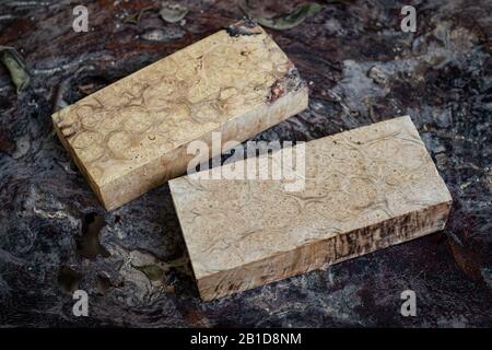 Legno naturale acero burl legno a strisce Legno Esotico motivo bello per artigianato arte o sfondo Foto Stock