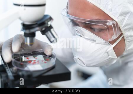 Scienziati asiatici concentrati che staring a gocce di sangue Foto Stock