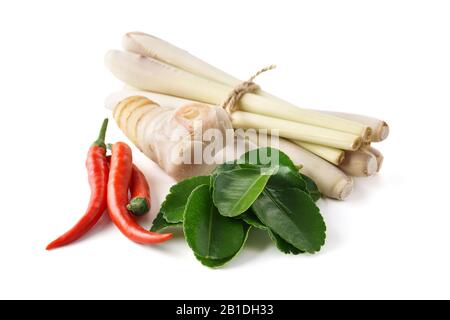 Set di ingredienti principali della minestra di Tom Yum - erba di limone, peperoncino, radice di galanga o foglie di lime di kaffir e di galangal. Isolato su sfondo bianco. Foto Stock