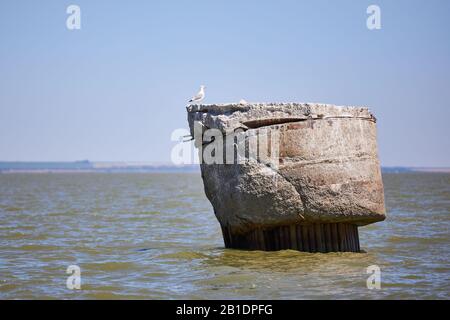 Nido di gabbiani sui resti di un vecchio molo in mare. Foto Stock