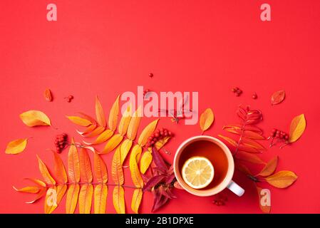 Autunno piatto composizione laici. Tazza di tè, autunno foglie luminose su sfondo rosso. Vista dall'alto. Disposizione piatta. Autunno concetto di stagione. Foto Stock