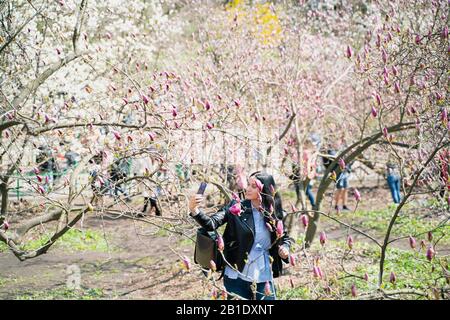 Kiev/Ucraina - 04.20.2019: La gente si rilassa in primavera nel giardino di magnolia in fiore nella città, prendere un selfie sullo sfondo di alberi di magnolia e. Foto Stock