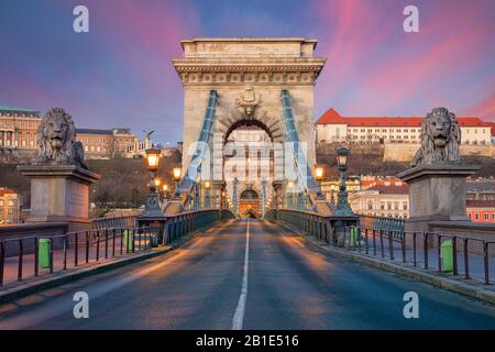 Budapest, Ungheria. Immagine della città dello skyline di Budapest con il Ponte delle catene Szechenyi durante la bella alba. Foto Stock