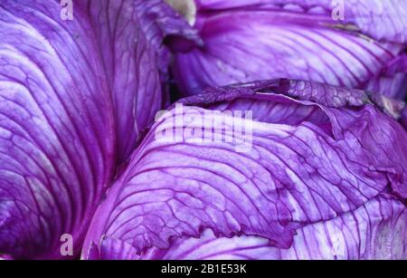 cavolo rosso sul mercato. Foto Stock