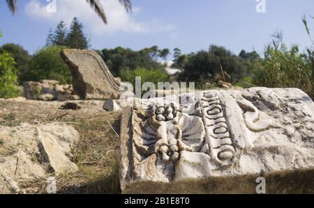 Rovine di Cartagine in Tunisia - con bandiera tunisina Foto Stock