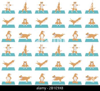 I cani da yoga posano ed esercitano un design senza cuciture. Clipart staffordshire bull terrier. Illustrazione del vettore Illustrazione Vettoriale