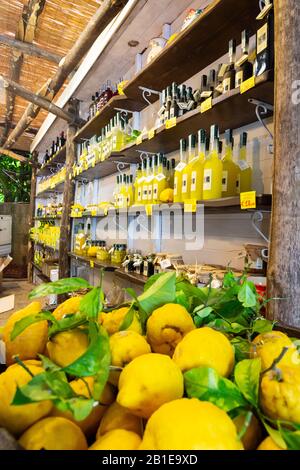 Bottiglie di limoncello e liquore arancello e famosi limoni di Sorrento in un negozio di souvenir a Sorrento Italia. Foto Stock