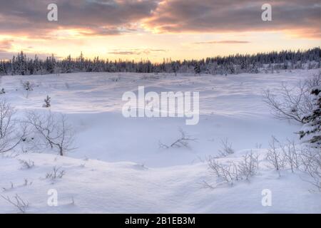 Banche di neve sul lago ghiacciato Skistuia vicino Trondheim, Norvegia, Trondheim Foto Stock