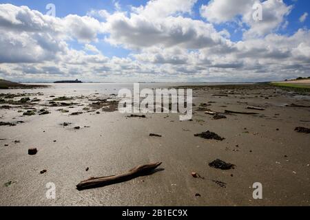 Bassa marea a Westerschelde, Paesi Bassi, Zeeland, Zuid-Beveland Foto Stock