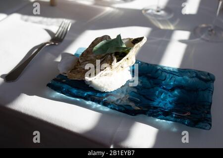 Ostriche fresche primo piano su piastra blu, servito tavolo con ostriche. Sano cibo di mare, cibo gourmet in ristorante, Pied de Cheval nome del massiccio vecchio piatto ostriche rare alla costa francese Foto Stock